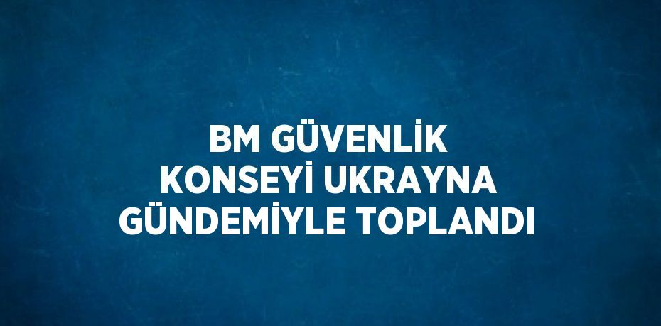 BM GÜVENLİK KONSEYİ UKRAYNA GÜNDEMİYLE TOPLANDI