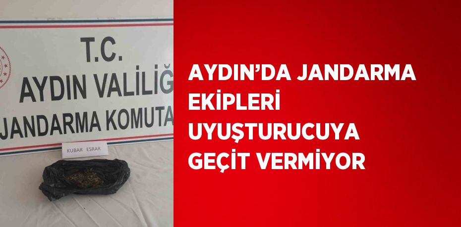 AYDIN’DA JANDARMA EKİPLERİ UYUŞTURUCUYA GEÇİT VERMİYOR