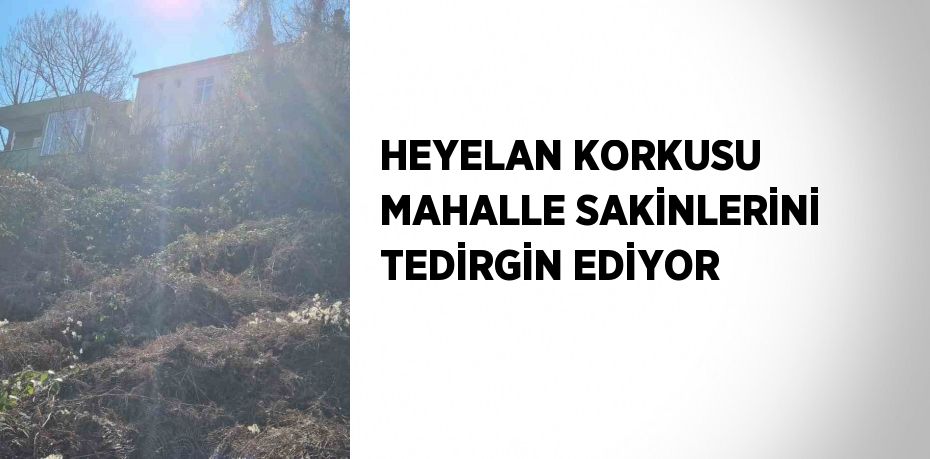 HEYELAN KORKUSU MAHALLE SAKİNLERİNİ TEDİRGİN EDİYOR