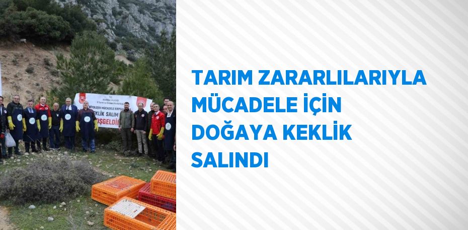 TARIM ZARARLILARIYLA MÜCADELE İÇİN DOĞAYA KEKLİK SALINDI