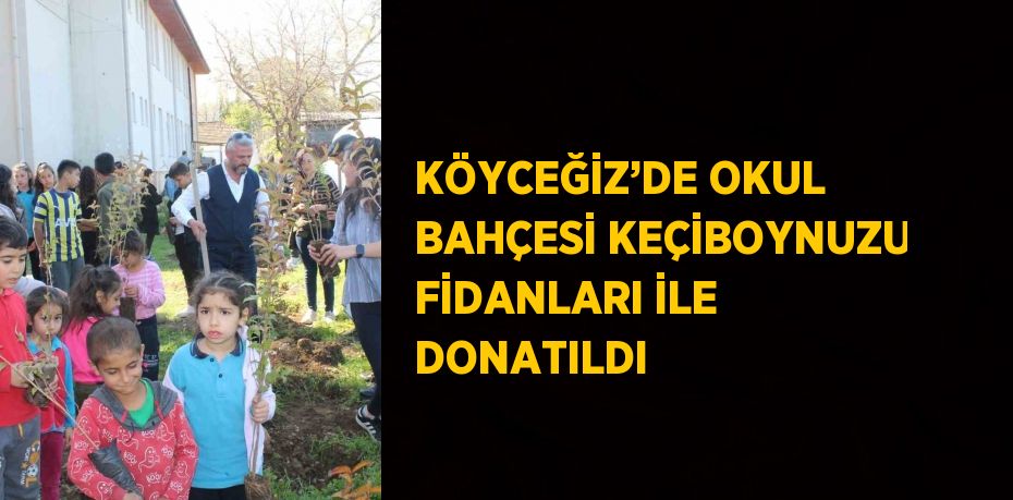 KÖYCEĞİZ’DE OKUL BAHÇESİ KEÇİBOYNUZU FİDANLARI İLE DONATILDI
