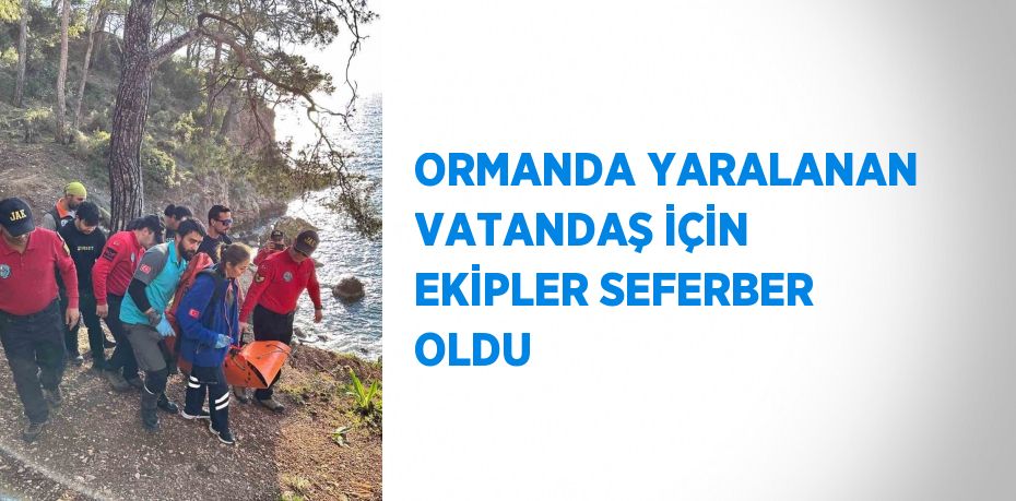 ORMANDA YARALANAN VATANDAŞ İÇİN EKİPLER SEFERBER OLDU