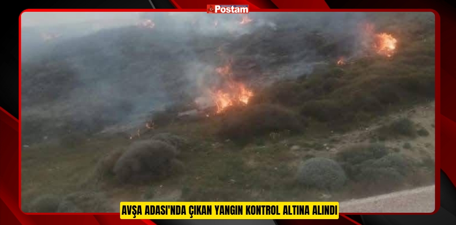 Avşa Adası'nda çıkan yangın kontrol altına alındı