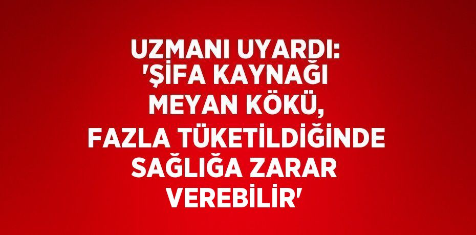 UZMANI UYARDI: 'ŞİFA KAYNAĞI MEYAN KÖKÜ, FAZLA TÜKETİLDİĞİNDE SAĞLIĞA ZARAR VEREBİLİR'