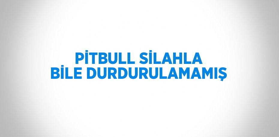PİTBULL SİLAHLA BİLE DURDURULAMAMIŞ