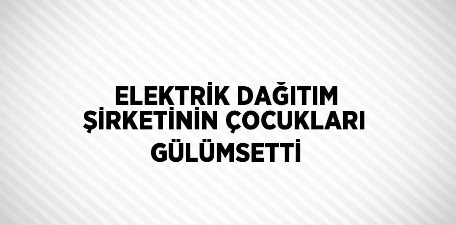ELEKTRİK DAĞITIM ŞİRKETİNİN ÇOCUKLARI GÜLÜMSETTİ
