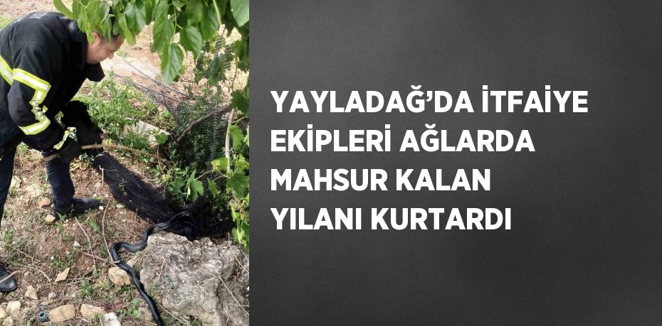 YAYLADAĞ’DA İTFAİYE EKİPLERİ AĞLARDA MAHSUR KALAN YILANI KURTARDI