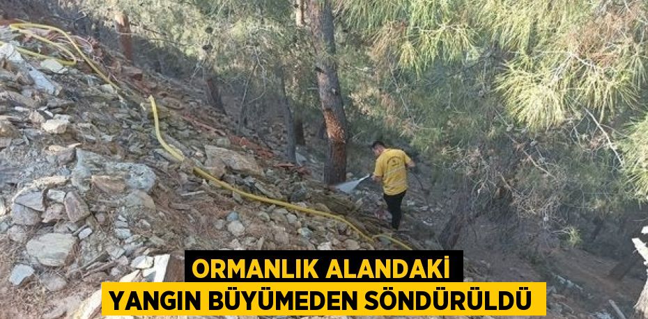 ORMANLIK ALANDAKİ YANGIN BÜYÜMEDEN SÖNDÜRÜLDÜ