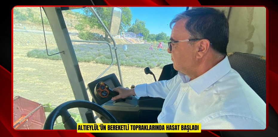 Altıeylül'ün bereketli topraklarında hasat başladı  