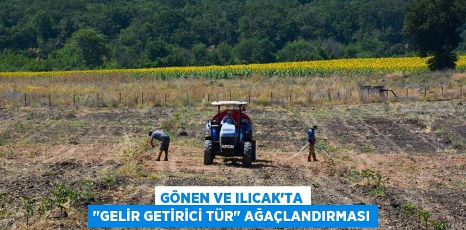 Gönen ve Ilıcak'ta "Gelir Getirici Tür" Ağaçlandırması