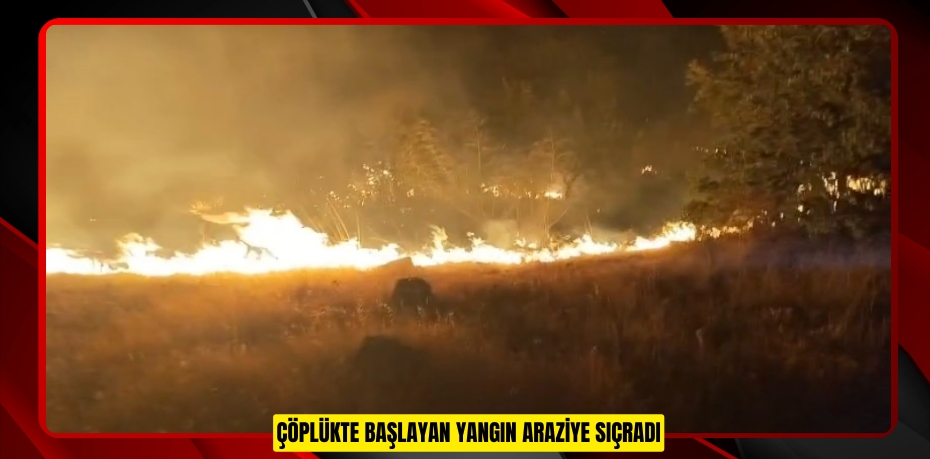 Çöplükte başlayan yangın araziye sıçradı