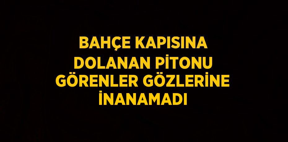 BAHÇE KAPISINA DOLANAN PİTONU GÖRENLER GÖZLERİNE İNANAMADI
