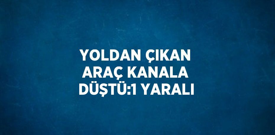 YOLDAN ÇIKAN ARAÇ KANALA DÜŞTÜ:1 YARALI