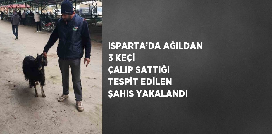 ISPARTA’DA AĞILDAN 3 KEÇİ ÇALIP SATTIĞI TESPİT EDİLEN ŞAHIS YAKALANDI