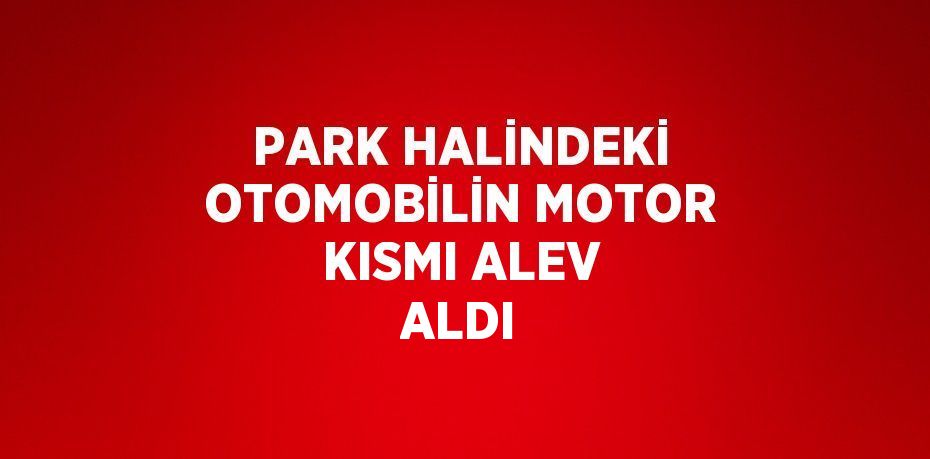 PARK HALİNDEKİ OTOMOBİLİN MOTOR KISMI ALEV ALDI