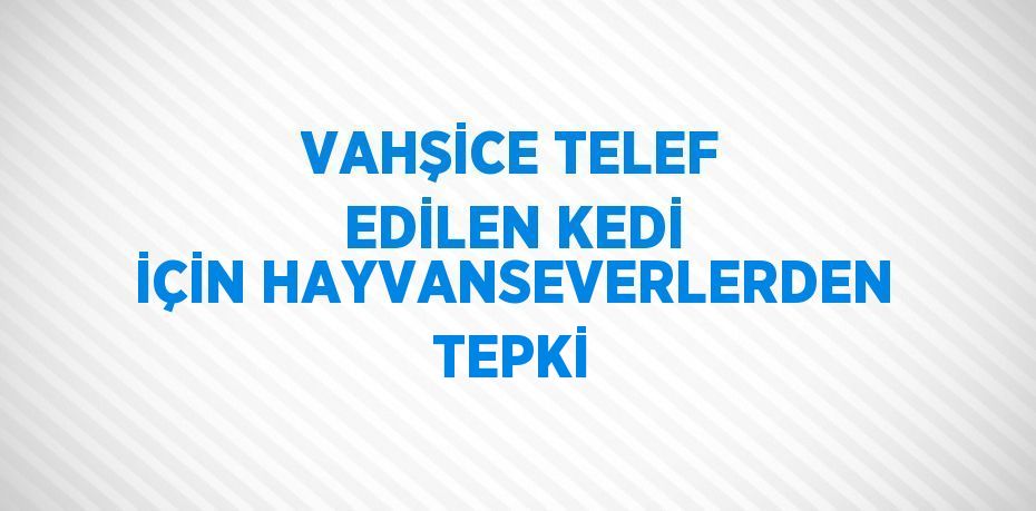 VAHŞİCE TELEF EDİLEN KEDİ İÇİN HAYVANSEVERLERDEN TEPKİ