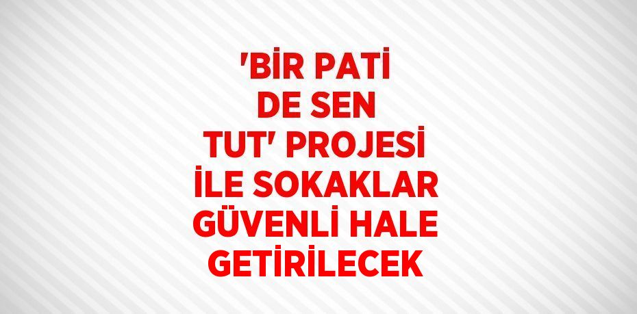 'BİR PATİ DE SEN TUT' PROJESİ İLE SOKAKLAR GÜVENLİ HALE GETİRİLECEK