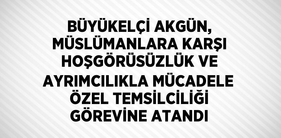 BÜYÜKELÇİ AKGÜN, MÜSLÜMANLARA KARŞI HOŞGÖRÜSÜZLÜK VE AYRIMCILIKLA MÜCADELE ÖZEL TEMSİLCİLİĞİ GÖREVİNE ATANDI