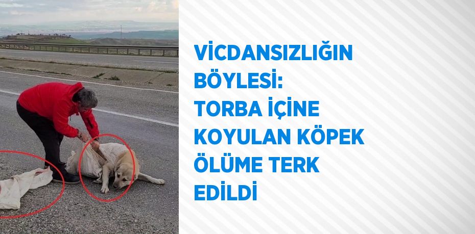 VİCDANSIZLIĞIN BÖYLESİ: TORBA İÇİNE KOYULAN KÖPEK ÖLÜME TERK EDİLDİ