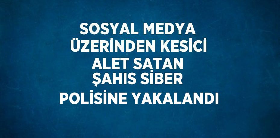 SOSYAL MEDYA ÜZERİNDEN KESİCİ ALET SATAN ŞAHIS SİBER POLİSİNE YAKALANDI