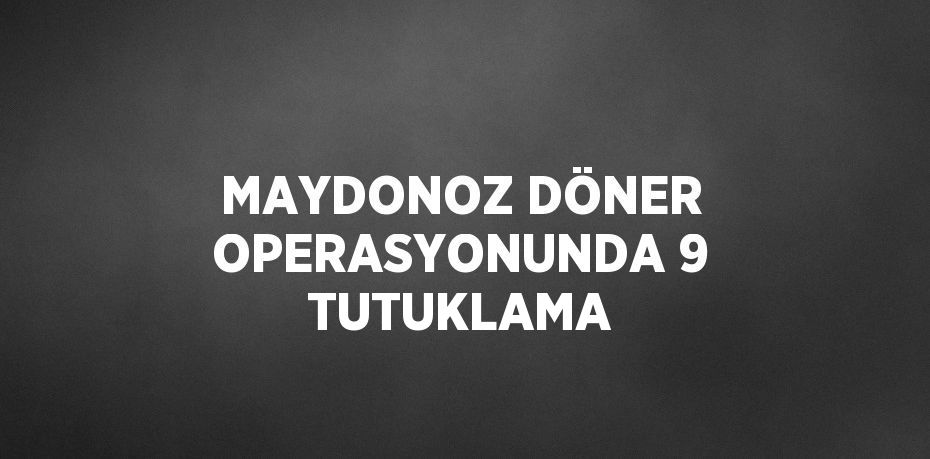MAYDONOZ DÖNER OPERASYONUNDA 9 TUTUKLAMA