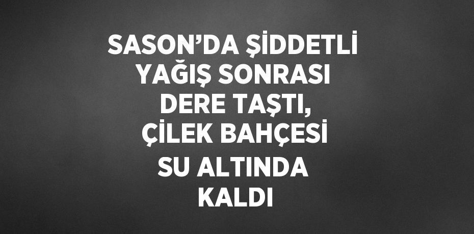 SASON’DA ŞİDDETLİ YAĞIŞ SONRASI DERE TAŞTI, ÇİLEK BAHÇESİ SU ALTINDA KALDI