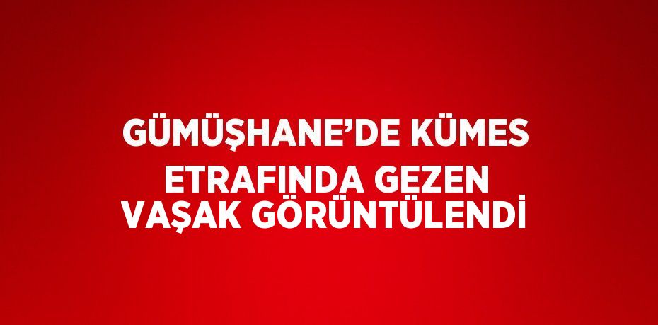 GÜMÜŞHANE’DE KÜMES ETRAFINDA GEZEN VAŞAK GÖRÜNTÜLENDİ