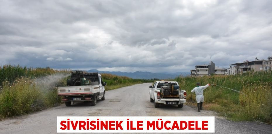 SİVRİSİNEK İLE MÜCADELE