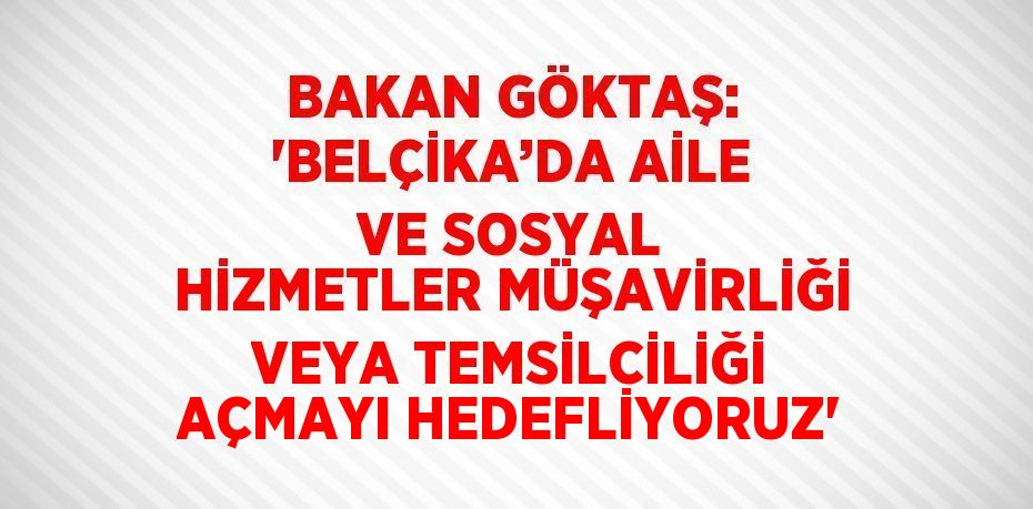 BAKAN GÖKTAŞ: 'BELÇİKA’DA AİLE VE SOSYAL HİZMETLER MÜŞAVİRLİĞİ VEYA TEMSİLCİLİĞİ AÇMAYI HEDEFLİYORUZ'
