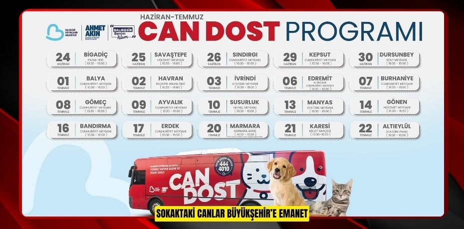 SOKAKTAKİ CANLAR BÜYÜKŞEHİR’E EMANET