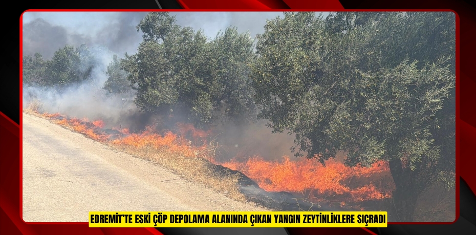 Edremit’te eski çöp depolama alanında çıkan yangın zeytinliklere sıçradı