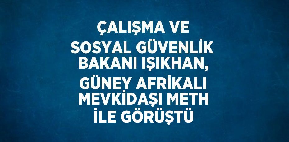 ÇALIŞMA VE SOSYAL GÜVENLİK BAKANI IŞIKHAN, GÜNEY AFRİKALI MEVKİDAŞI METH İLE GÖRÜŞTÜ