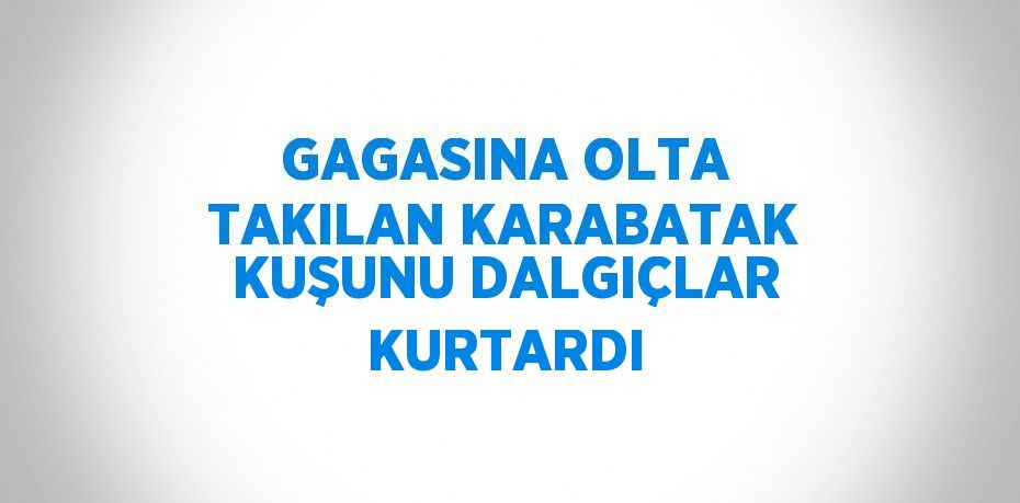 GAGASINA OLTA TAKILAN KARABATAK KUŞUNU DALGIÇLAR KURTARDI