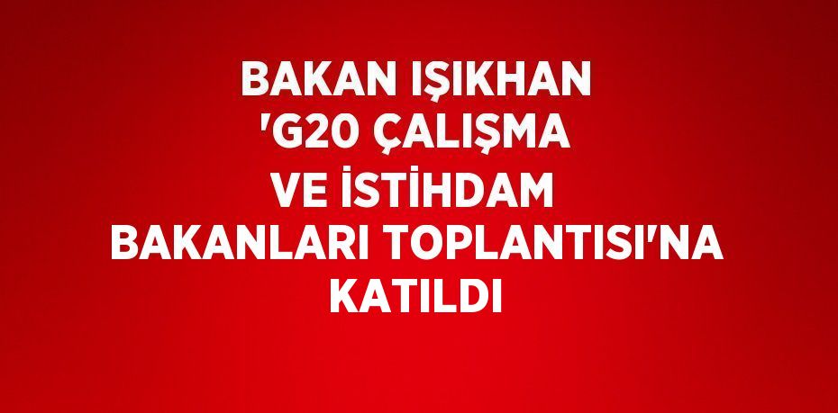 BAKAN IŞIKHAN 'G20 ÇALIŞMA VE İSTİHDAM BAKANLARI TOPLANTISI'NA KATILDI