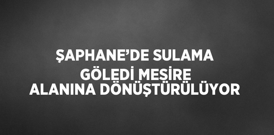 ŞAPHANE’DE SULAMA GÖLEDİ MESİRE ALANINA DÖNÜŞTÜRÜLÜYOR
