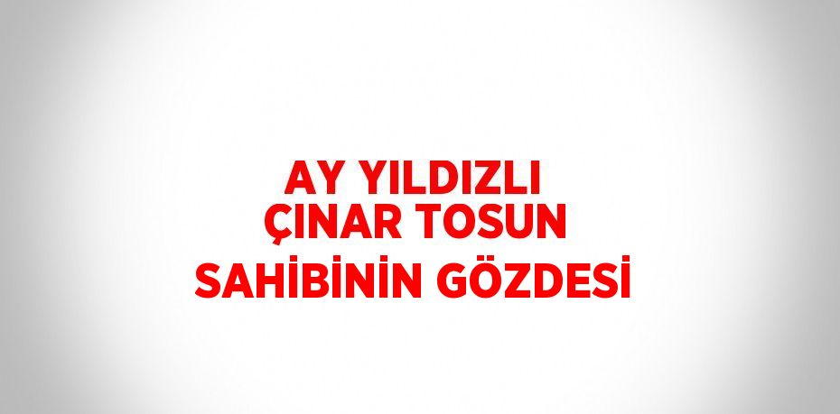 AY YILDIZLI ÇINAR TOSUN SAHİBİNİN GÖZDESİ