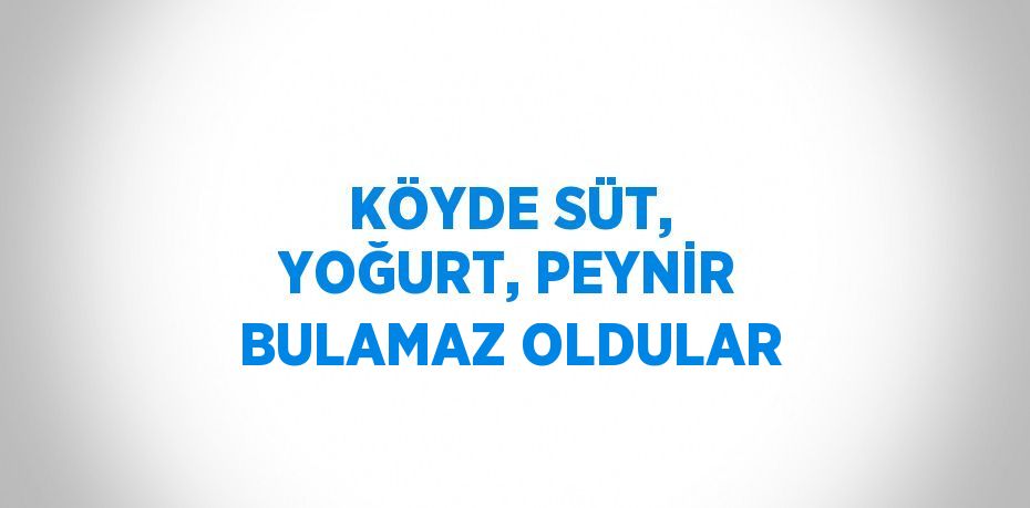 KÖYDE SÜT, YOĞURT, PEYNİR BULAMAZ OLDULAR