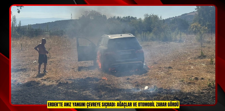 Erdek'te anız yangını çevreye sıçradı: Ağaçlar ve otomobil zarar gördü