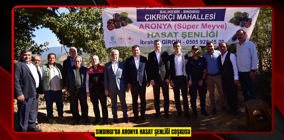 Sındırgı'da Aronya Hasat Şenliği coşkusu