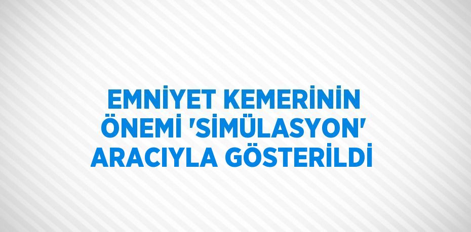 EMNİYET KEMERİNİN ÖNEMİ 'SİMÜLASYON' ARACIYLA GÖSTERİLDİ
