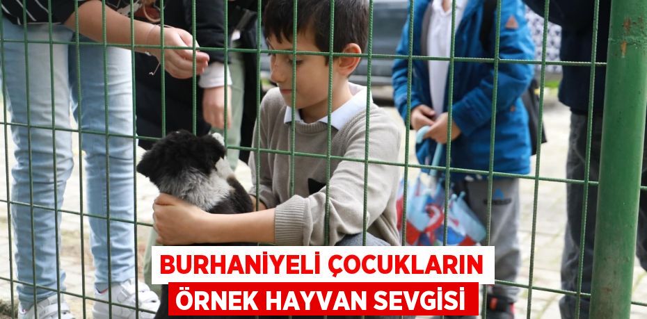 Burhaniyeli Çocukların örnek hayvan sevgisi