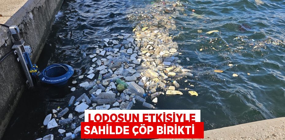 Lodosun etkisiyle sahilde çöp birikti
