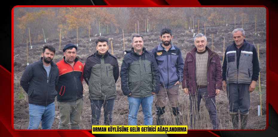 Orman köylüsüne gelir getirici ağaçlandırma