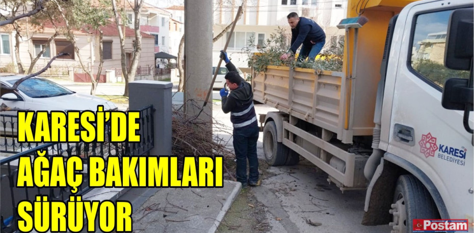 KARESİ’DE AĞAÇ BAKIMLARI SÜRÜYOR