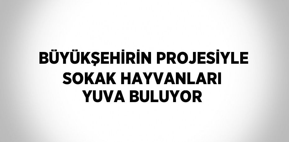 BÜYÜKŞEHİRİN PROJESİYLE SOKAK HAYVANLARI YUVA BULUYOR