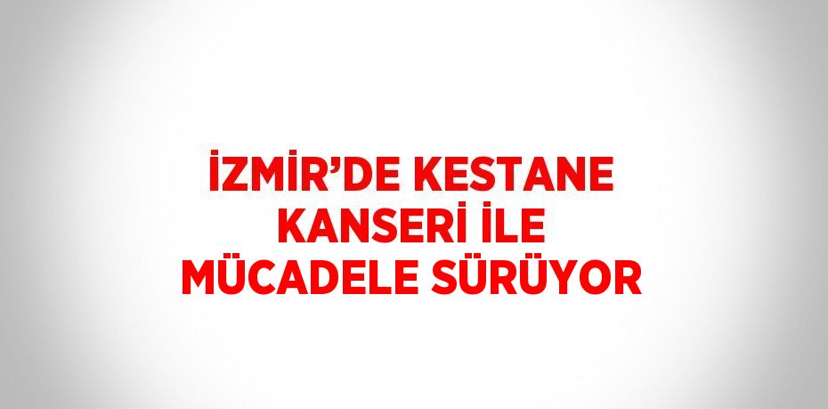 İZMİR’DE KESTANE KANSERİ İLE MÜCADELE SÜRÜYOR