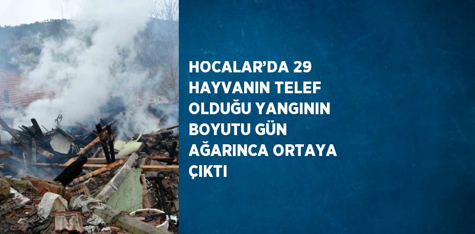 HOCALAR’DA 29 HAYVANIN TELEF OLDUĞU YANGININ BOYUTU GÜN AĞARINCA ORTAYA ÇIKTI