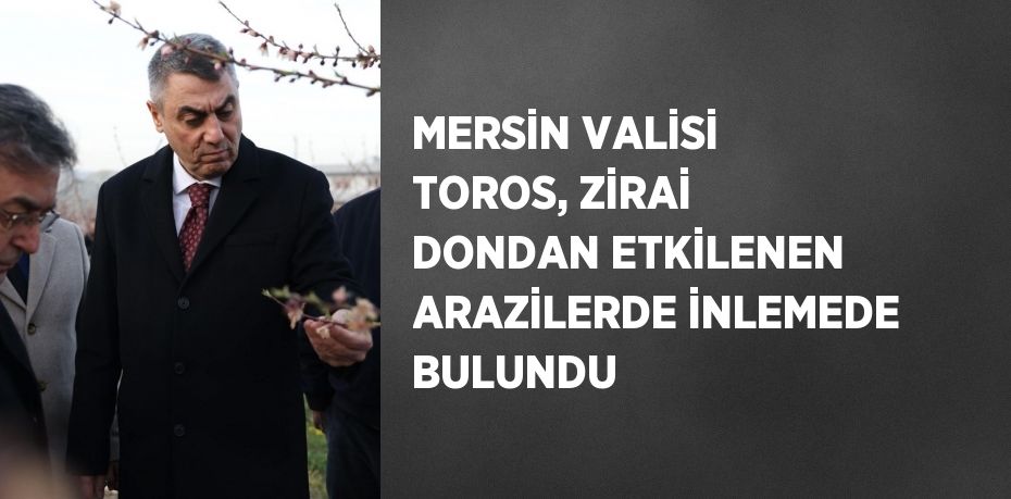 MERSİN VALİSİ TOROS, ZİRAİ DONDAN ETKİLENEN ARAZİLERDE İNLEMEDE BULUNDU