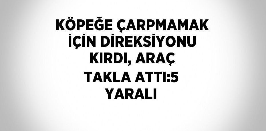 KÖPEĞE ÇARPMAMAK İÇİN DİREKSİYONU KIRDI, ARAÇ TAKLA ATTI:5 YARALI