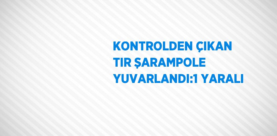 KONTROLDEN ÇIKAN TIR ŞARAMPOLE YUVARLANDI:1 YARALI